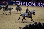 Quadrille - 00788